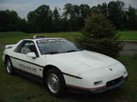 Other/fiero5/Indy_at_rest-1.jpg