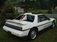 Other/fiero5/Indy_at_rest-2.jpg